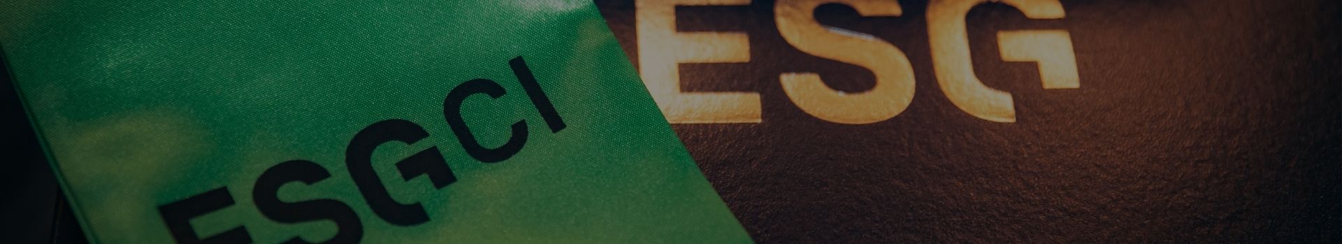 Echarpe verte pliée sur une toge noire
