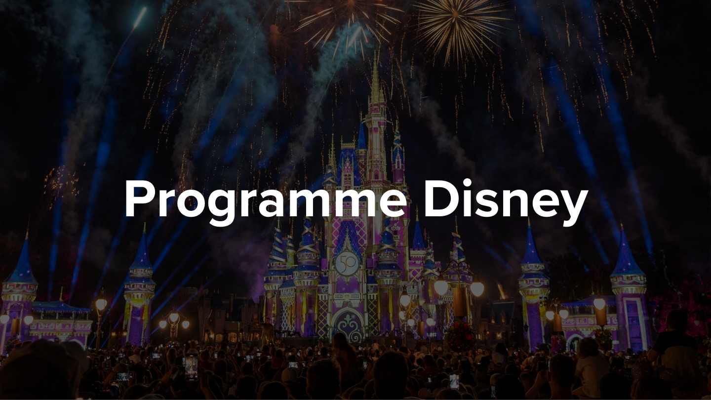 Programme Disney