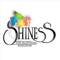 Projet Shiness Projet étudiant Marketing commerce bac+5